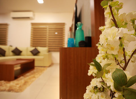 interior design websites